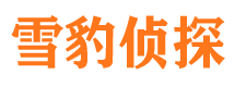 安次市侦探公司